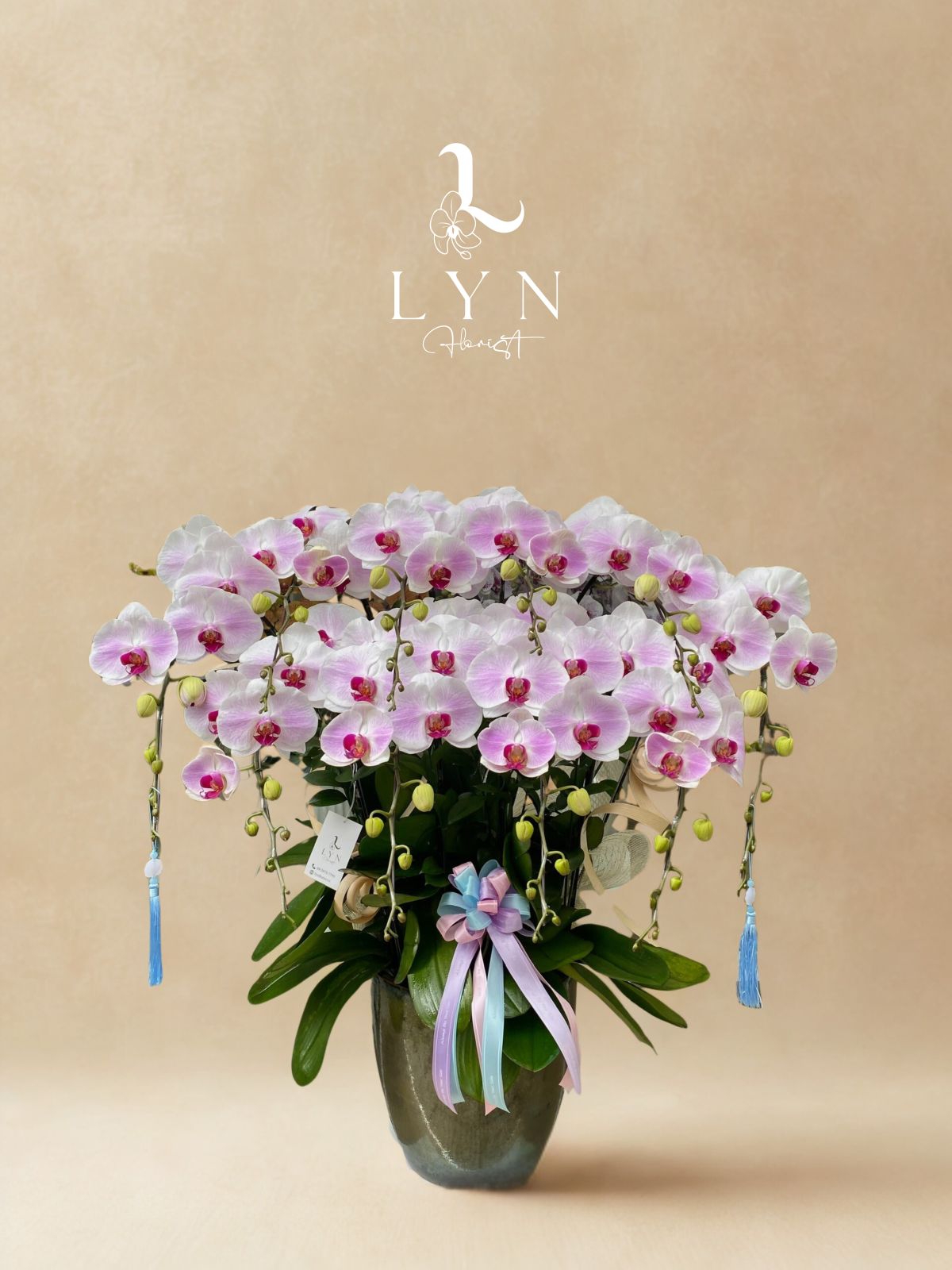 Chậu Hoa Lan 143_10 cành